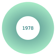 ícone de data 1978